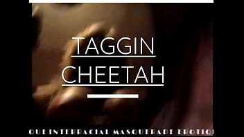 Taggin Cheetah - Thique Interracial Safari Towervision Blowjob free video